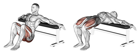 Bodyweight Hip Thrust demonstration