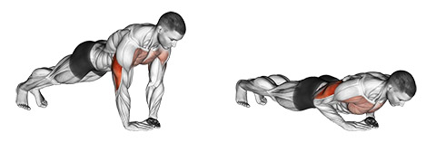Bodyweight Diamond Push Up demonstration