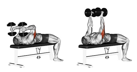 Dumbbell Skullcrusher demonstration