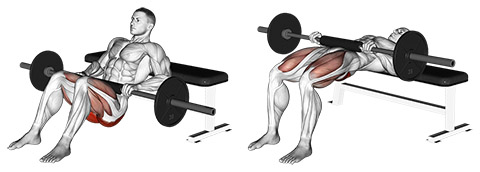 Barbell Hip Thrust demonstration