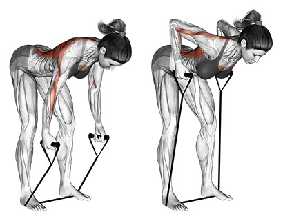 Resistance Band Bent-Over Row demonstration