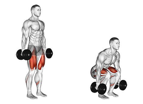 Dumbbell Squat demonstration