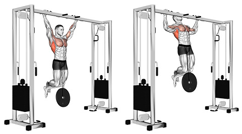 Plate Pull Up demonstration