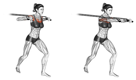 Resistance Band Chest Press demonstration