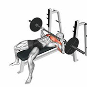 Barbell Bench Press: Form, Muscles Worked, Sets and Reps